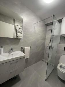 Φωτογραφία από το άλμπουμ του Promenada Apartment στο Νόβι Σαντ