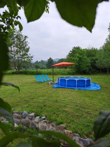 un groupe de chaises bleues et un parapluie dans un champ dans l'établissement Dolina Lopatnice, à Bogutovac