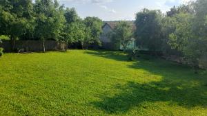 a yard with a large lawn with a fence and trees at Centrala in Vrdnik +6 photos