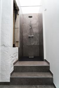 uma casa de banho com uma cabina de duche ao nível do chão e escadas em Cheval Blanc - Holiday Rental em Aubel
