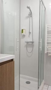 La salle de bains est pourvue d'une douche avec une porte en verre. dans l'établissement Escapade détente au cœur de Pamiers, à Pamiers
