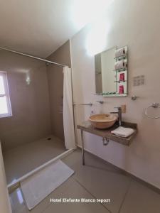 a bathroom with a sink and a shower at HOSTAL DEL ELEFANTE in Tepoztlán