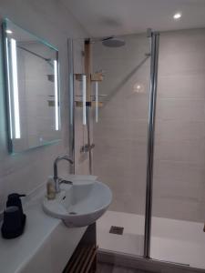a bathroom with a sink and a shower at L'incontournable, centre ville parking WIFI in Vannes