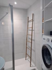a laundry room with a ladder next to a washing machine at L'incontournable, centre ville parking WIFI in Vannes