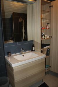 een badkamer met een wastafel en een spiegel bij Le Ginkgo - Mont Dauphin in Eygliers +16 foto's