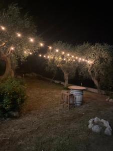 Zahrada ubytování Le Dimore di Mariuccia Relax & SPA
