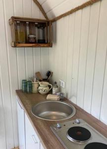 um balcão de cozinha com um lavatório num quarto em Rüdiger, der Bauwagen am Deich. 