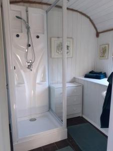 uma casa de banho com um chuveiro e uma cabina de duche ao nível do chão em Rüdiger, der Bauwagen am Deich. 