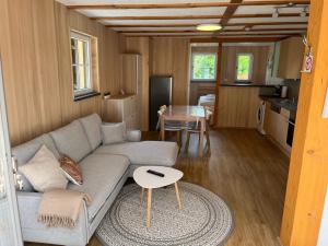 een woonkamer met een bank en een tafel bij Tiny Haus Dornbirn in Dornbirn