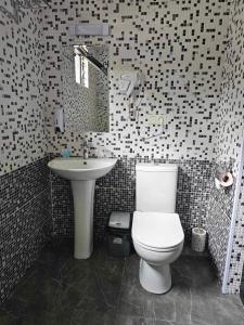 ein Badezimmer mit einem weißen WC und einem Waschbecken in der Unterkunft Villa Story Hotel in Shekhvetili
