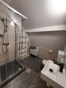 a bathroom with a shower and a toilet and a sink at Boutique Villa Zala in Zalakaros