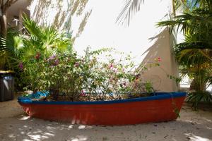Vườn quanh 87965 Spacious and private retreat 1 block from the Ocean in Progreso East