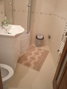 La salle de bains est pourvue d'un lavabo, de toilettes et d'une douche. dans l'établissement Residence familiar Manu, à Tîrgu Neamţ