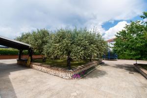 Vonkajšia záhrada v ubytovaní Villa Jakov
