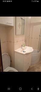 La salle de bains est pourvue de toilettes, d'un lavabo et d'une douche. dans l'établissement Residence familiar Manu, à Tîrgu Neamţ