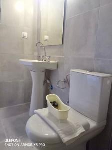 a bathroom with a toilet and a sink at DVLNG FAMILY STUDIO APARTMENT in Kassiopi