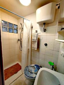 een badkamer met een douche, een toilet en een wastafel bij La Casa in Piazza in Toffia