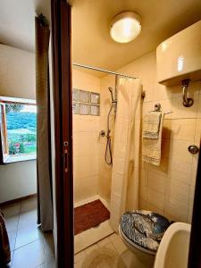 een badkamer met een douche en een toilet bij La Casa in Piazza in Toffia