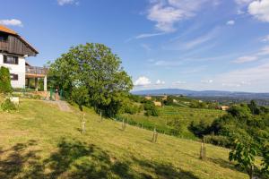 una casa en una colina con un campo y árboles en Cosy Hill Home Rucman With a Breathtaking View, en Zgornja Pohanca