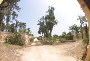 Fotografie z fotogalerie ubytování GIARDINO del MARE v destinaci Petrosino