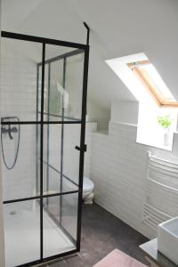 a bathroom with a glass shower with a toilet at Vidéki Ház in Tagyon