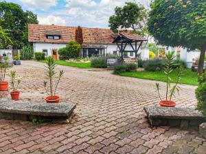 a house with three potted plants on a brick road at Vidéki Ház in Tagyon