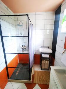 een badkamer met een douche en een wastafel bij Donath Loft in Cluj-Napoca