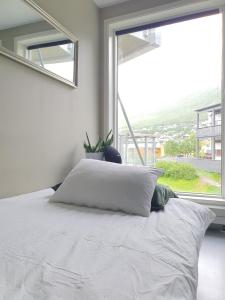 Fotografie z fotogalerie ubytování Northern Dreams Apartment with free parking v destinaci Tromsø
