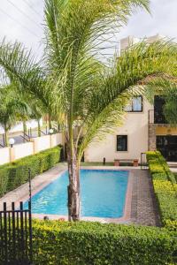 a palm tree in front of a swimming pool at Kunyumba Luxury Homes in Lusaka