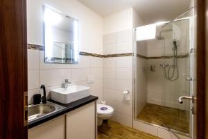 a bathroom with a sink and a shower and a toilet at Old Town Hall - Stará radnice - Ratusz Staromiejski in Bohumín
