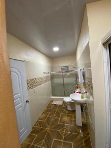 a bathroom with a sink and a toilet and a shower at Cabaña Vistas del Bosque piscina privada in Jarabacoa