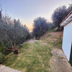 Zahrada ubytování Massaciuccoli Romana