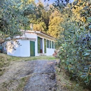 Zahrada ubytování Massaciuccoli Romana