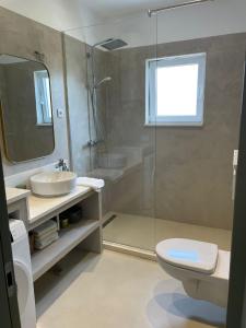 ein Bad mit einem WC, einem Waschbecken und einer Dusche in der Unterkunft Apartment Capitano in Slatine