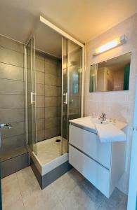 W łazience znajduje się umywalka i prysznic. w obiekcie Hôtel Le Forestia w mieście Pannes