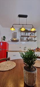 a kitchen with a table with a potted plant and lights at House Pierina in Florence
