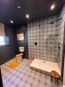 a bathroom with a shower and a toilet at Llanerchydol Hall Suites in Welshpool