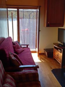 博西Acogedor Apartamento 2 Habitaciones en Boí的客厅里有一张沙发和一台电视