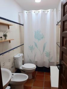y baño con aseo y cortina de ducha. en Masía de San Juan - Casas rurales con piscina en masía fortificada, en Segorbe