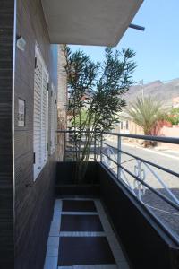 a balcony with a plant on the side of a building at SAM House in Mindelo