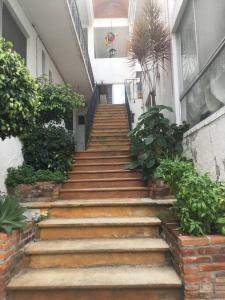 a staircase leading up to a building with plants at Departamento Rouge in Cuernavaca