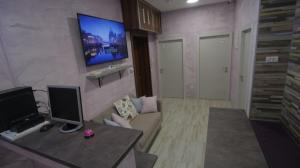 uma sala de estar com um sofá e uma televisão de ecrã plano em Stella Di Notte VIP em Belgrado