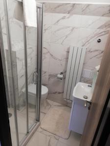 een badkamer met een douche, een toilet en een wastafel bij Apartmany Železná Ruda in Železná Ruda
