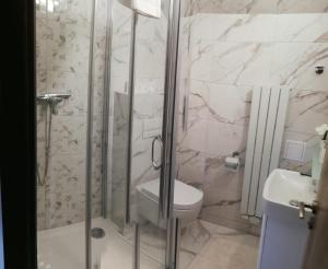 ein Bad mit einer Dusche, einem WC und einem Waschbecken in der Unterkunft Apartmany Železná Ruda in Železná Ruda