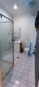 La salle de bains est pourvue d'une douche et de toilettes. dans l'établissement The Berri Bubble Lodge, à Berridale