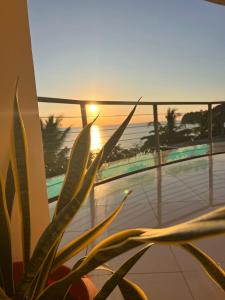 eine Pflanze vor einem Fenster mit Sonnenuntergang in der Unterkunft Suite parentale Villa au bord de la mer chez Saloua in Bouéni