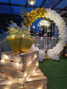 Pokój z balonami i roślinami w obiekcie Melody Inn w mieście Yercaud