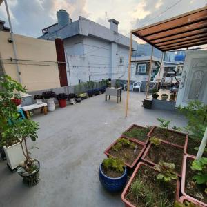 a patio with a bunch of potted plants on it at JUN house - Foreign Only in Busan