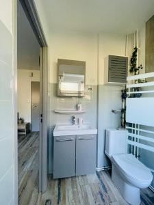 a bathroom with a white toilet and a sink at DnN - Stylish Studio, 2 peoples- WiFi, Netflix, parking - min away to Basel and Airport - dishwasher, washing machine in Saint-Louis