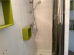 y baño con ducha y caja verde. en maison d hôte architecture, en Montaudin